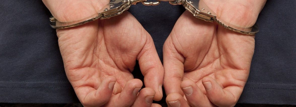 За крадіжку саджанців жителю Борщівської громади загрожує до восьми років позбавлення волі