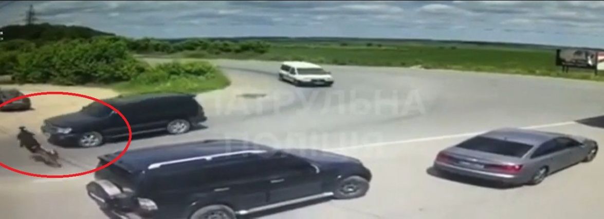 У поліції показали відео з місця аварії на Текстильній, де зіткнулись велосипедист та Toyota