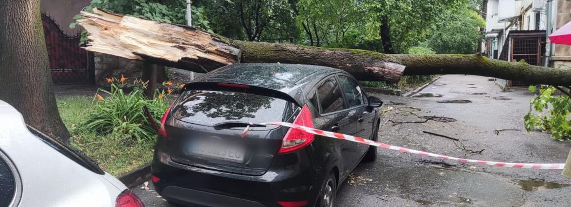 Через зливу дерева попадали та потрощили автомобілі