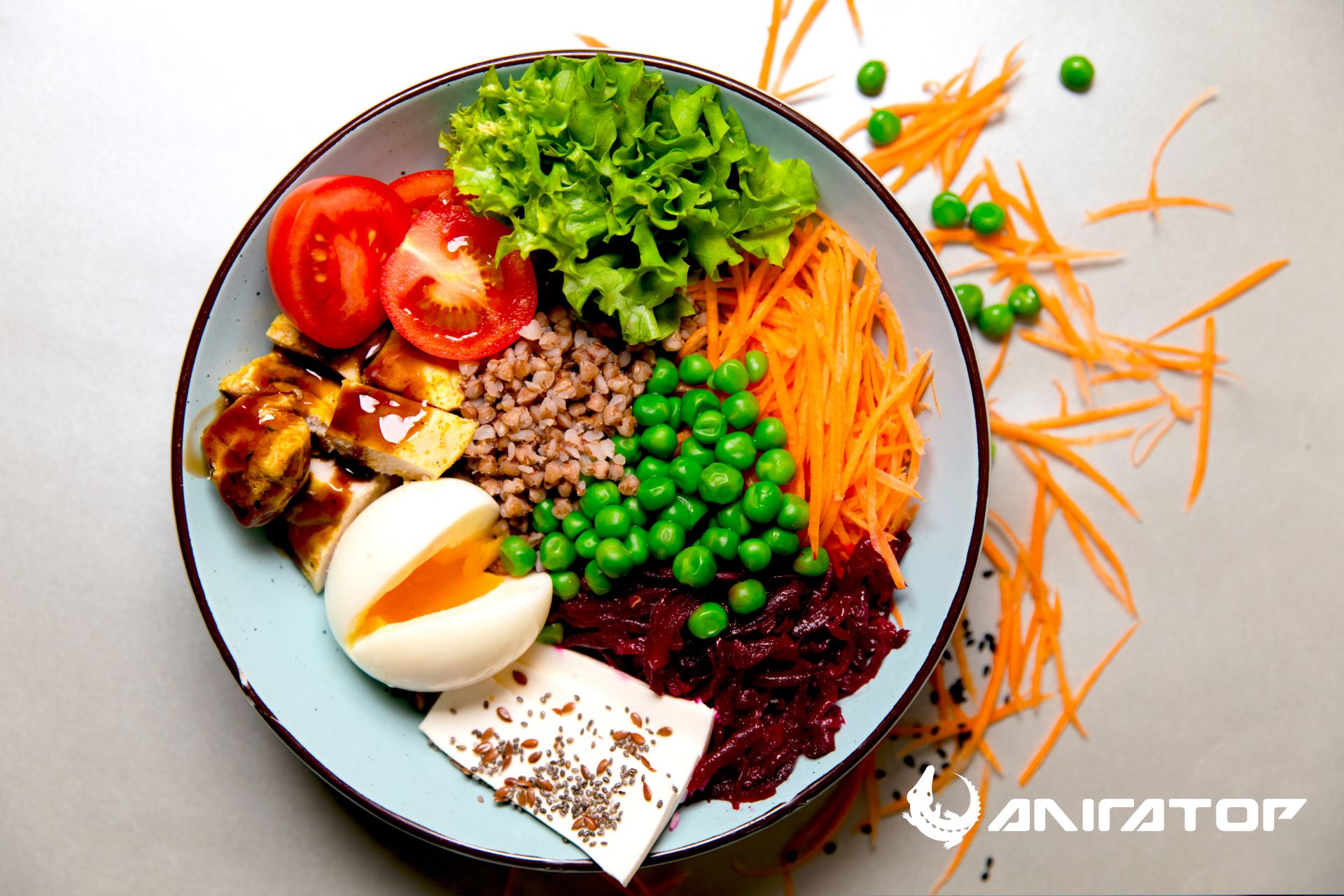 Якщо фітнес-клуб, то «Алігатор» (новини компаній)