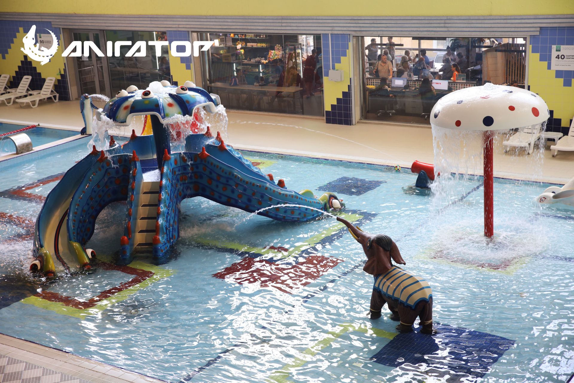 Якщо фітнес-клуб, то «Алігатор» (новини компаній)