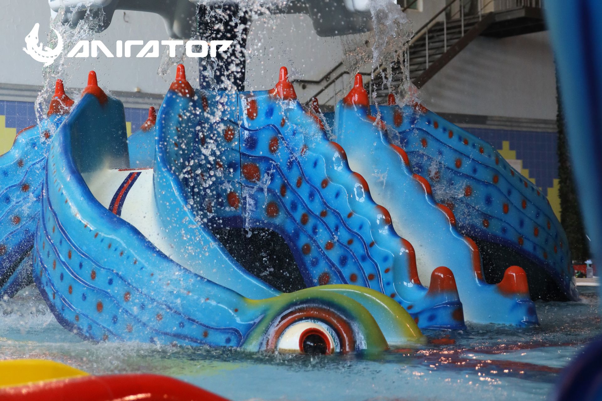 Якщо фітнес-клуб, то «Алігатор» (новини компаній)