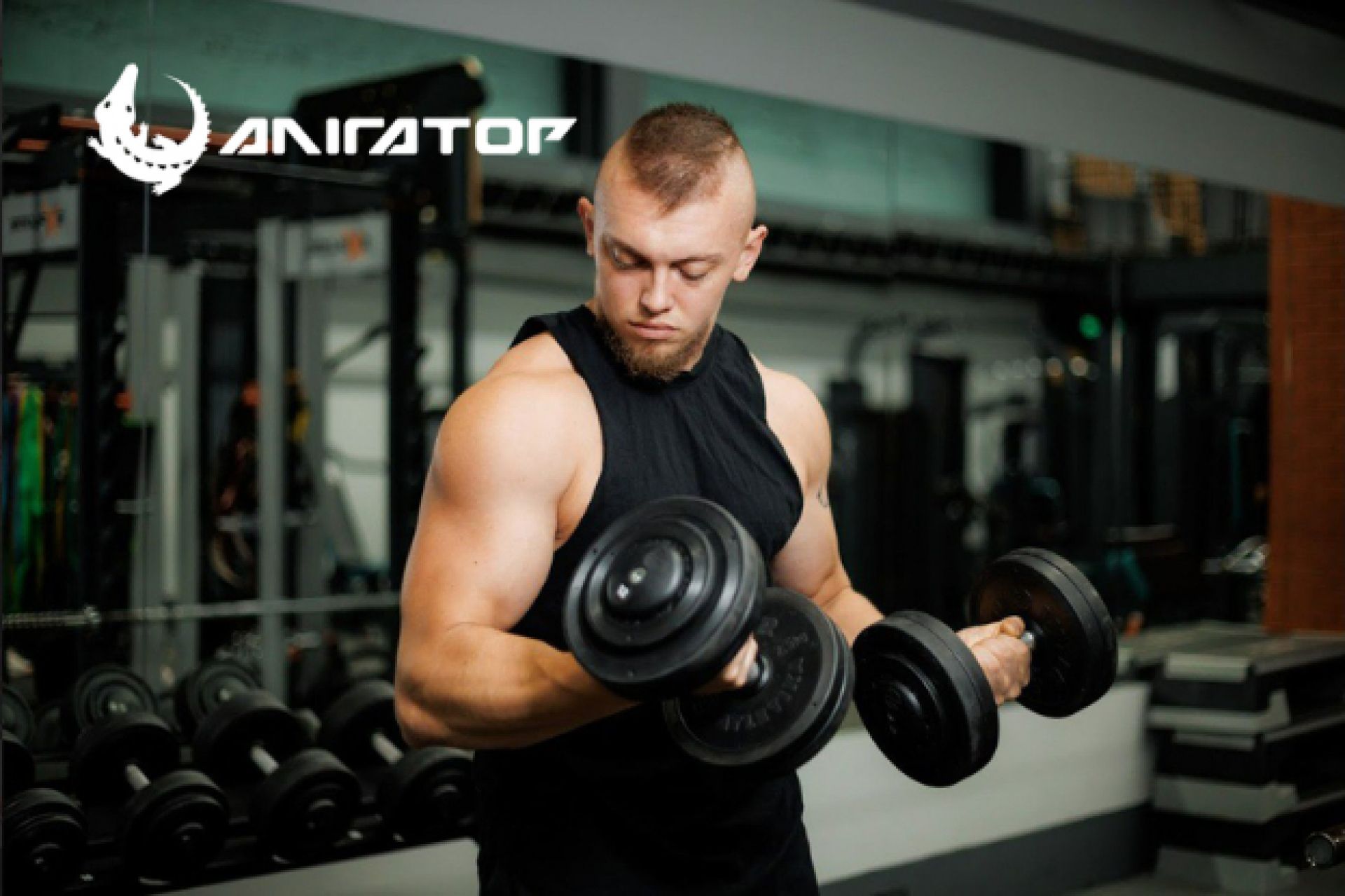 Якщо фітнес-клуб, то «Алігатор» (новини компаній)