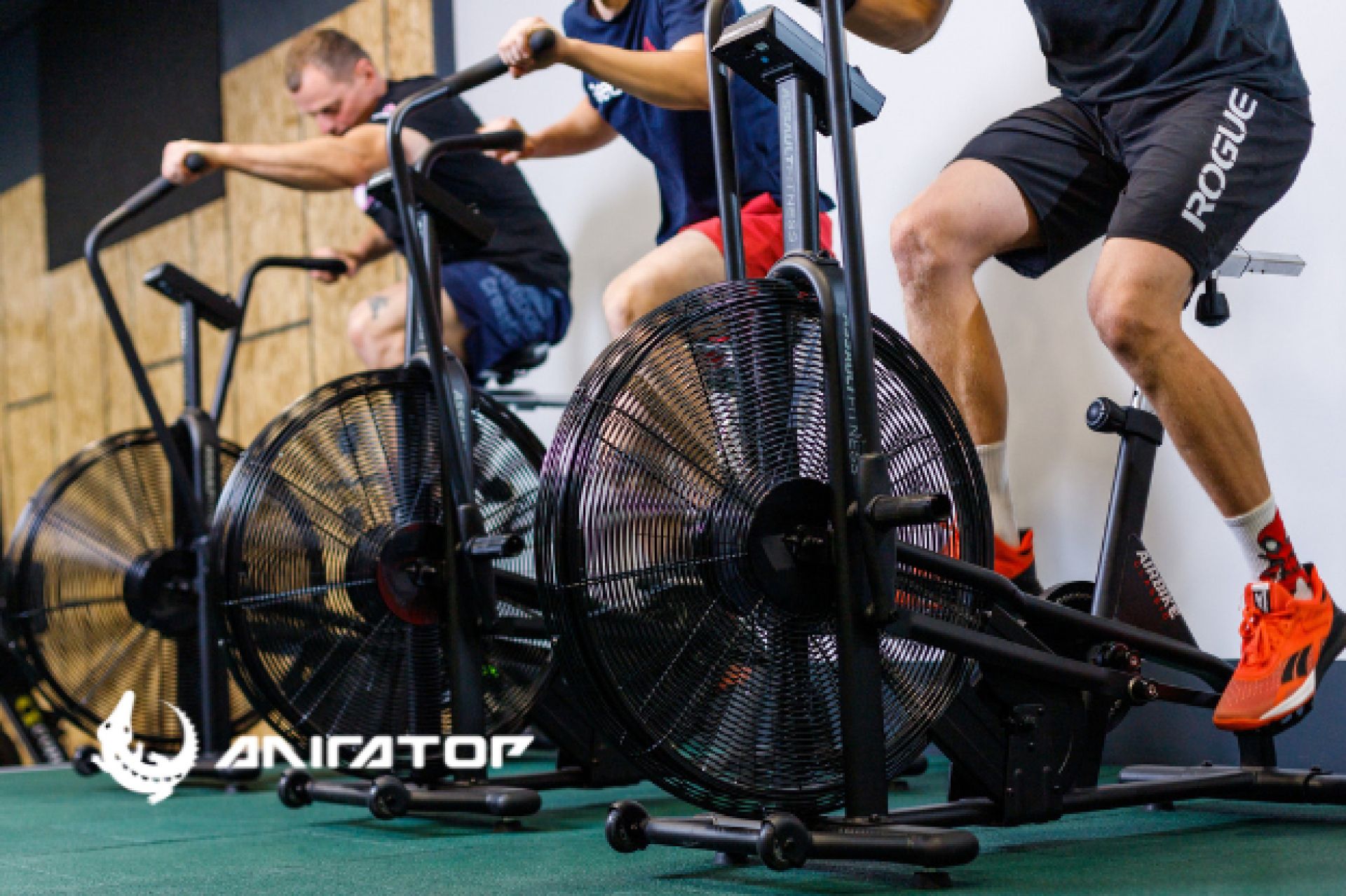 Якщо фітнес-клуб, то «Алігатор» (новини компаній)