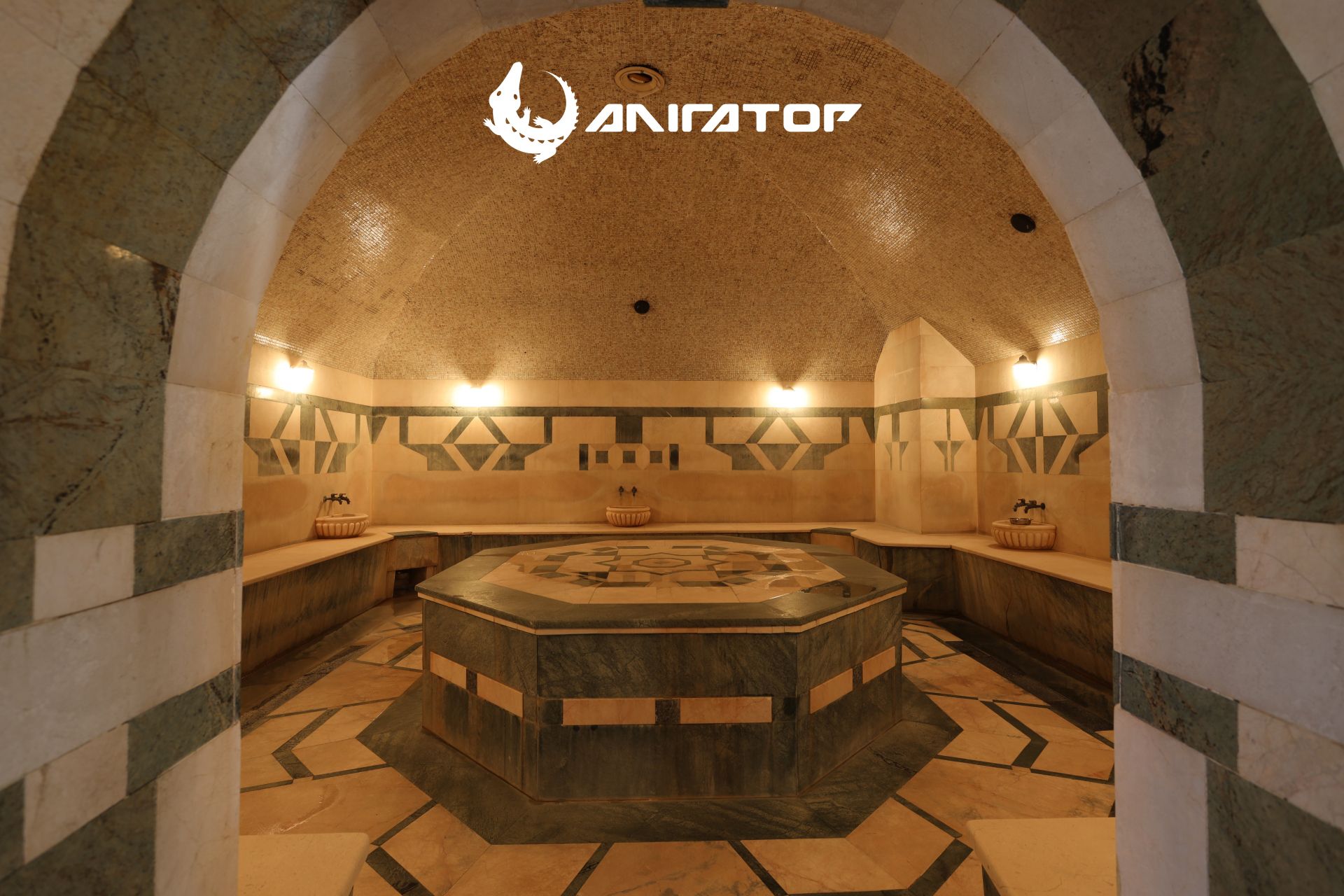 Якщо фітнес-клуб, то «Алігатор» (новини компаній)