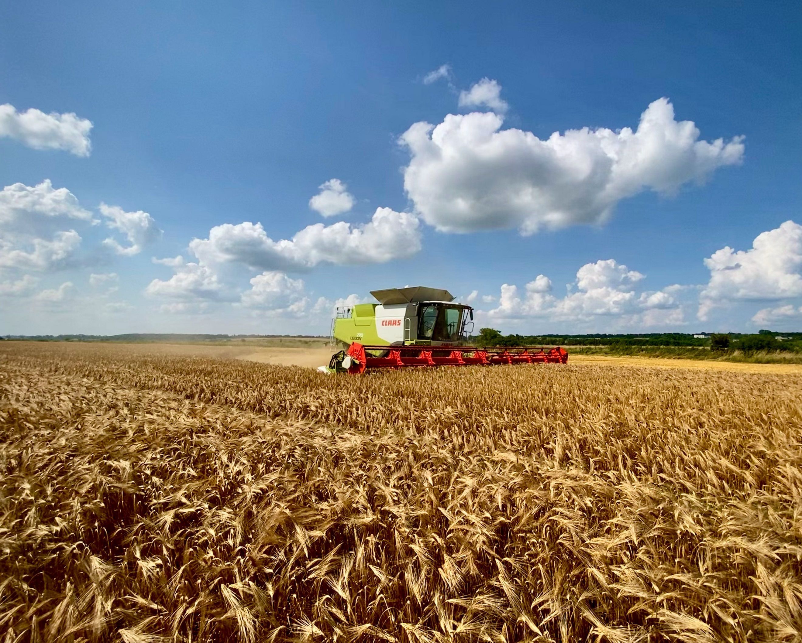 Нива жнива. Жнива урожай. Пераможца жнива. Continental Farmers Group.