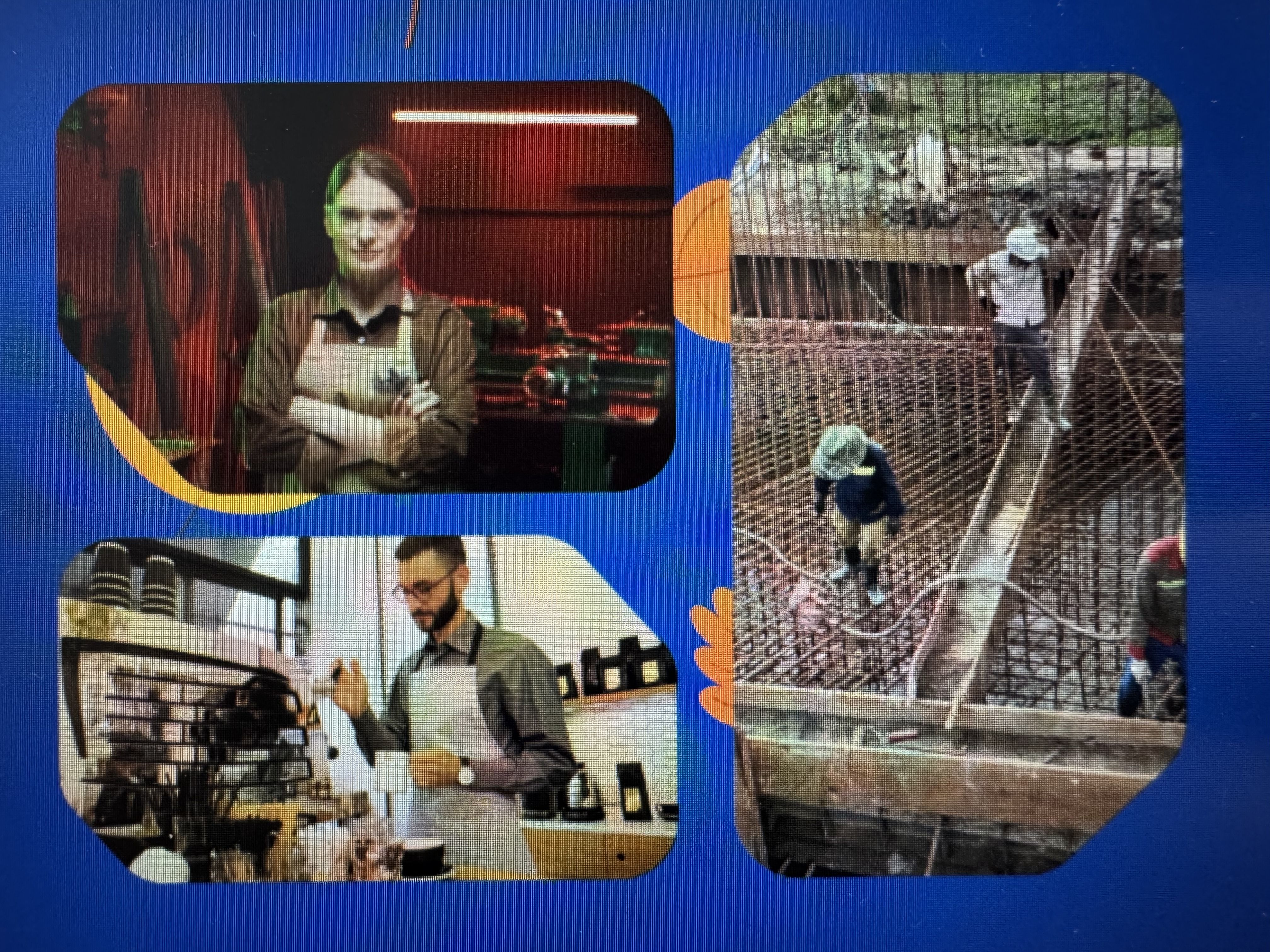Актуальні вакансії та зарплати на Тернопільщині