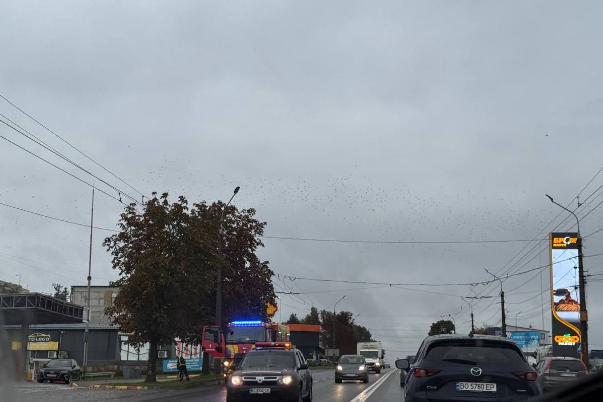 Пожежа в Острові: рятувальники працювали всю ніч (ОНОВЛЮЄТЬСЯ)