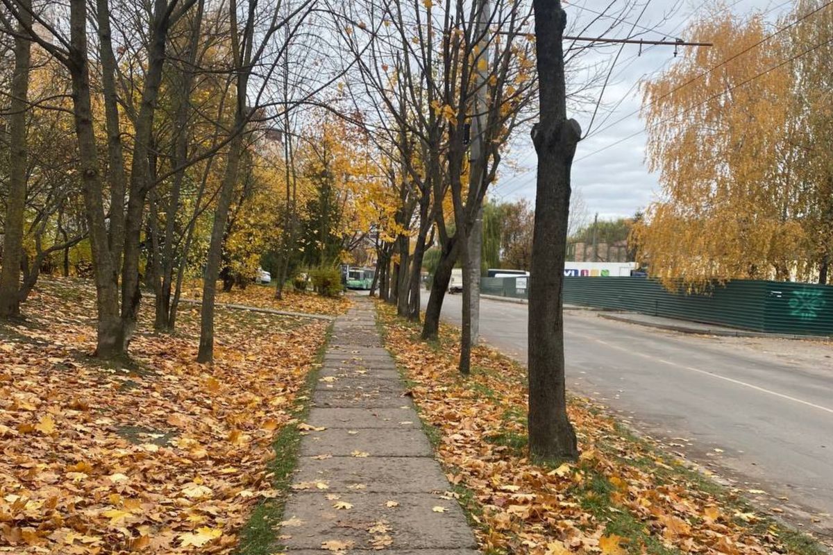 Штормове попередження оголосили на Тернопільщині