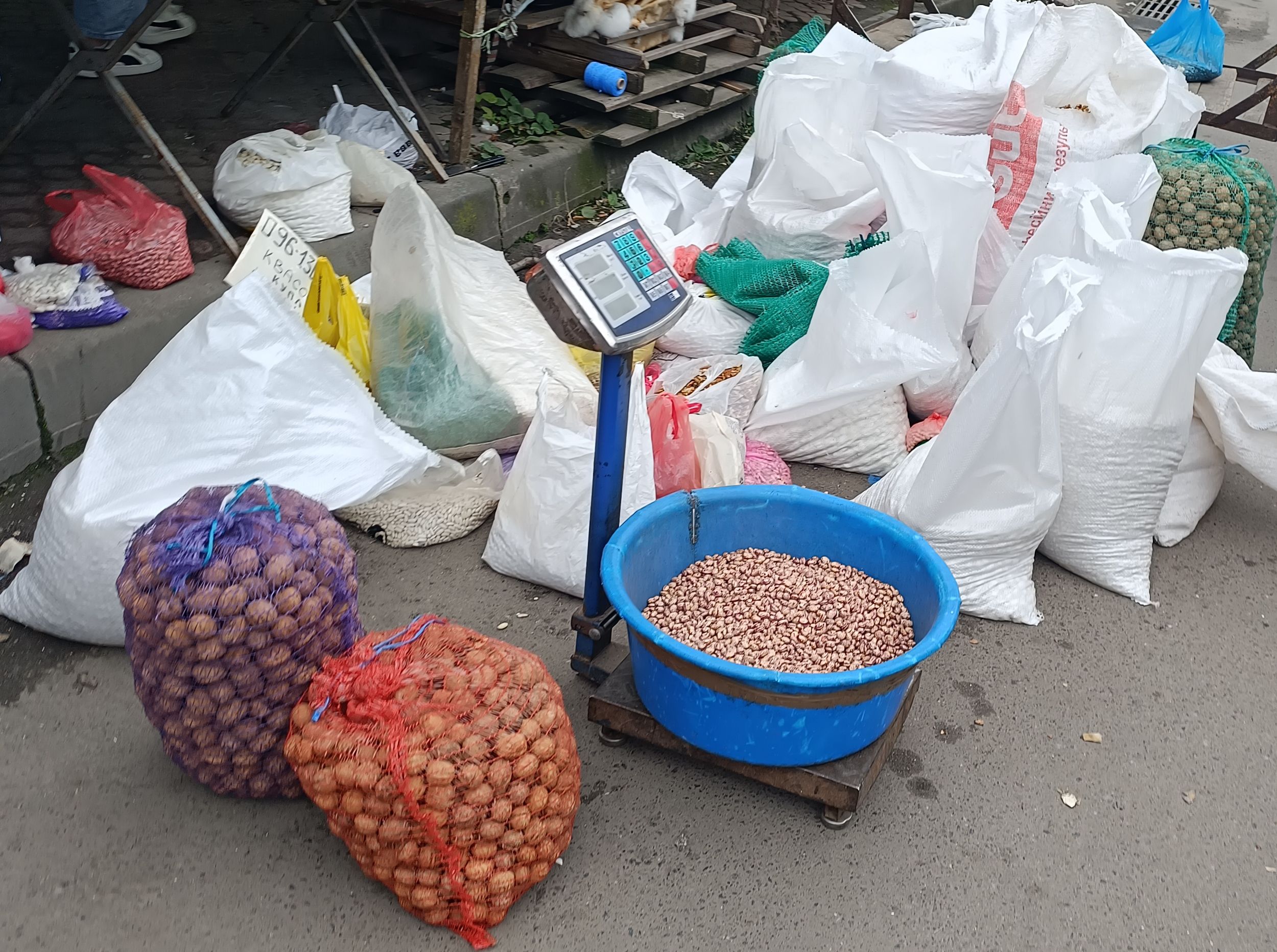 Скільки платять за горіхи та насіння у Тернополі та де можна здати. Дивіться відео!