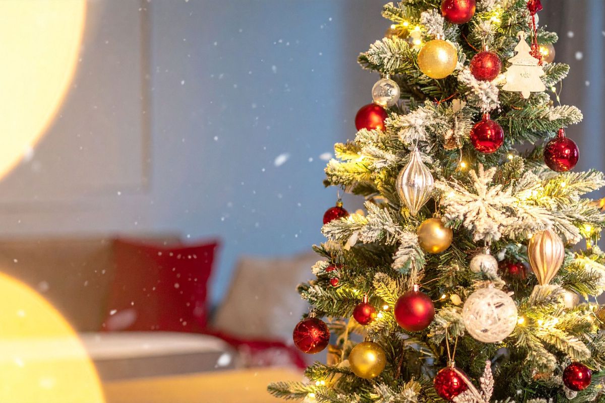 На покупці ялинки тернополянка втратила понад 11 тисяч гривень