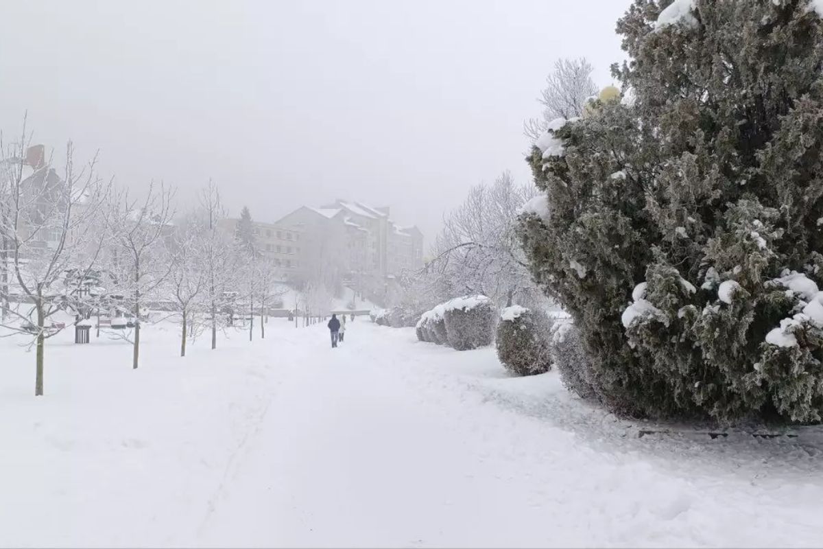 Штормове попередження оголосили на Тернопільщині через ожеледицю