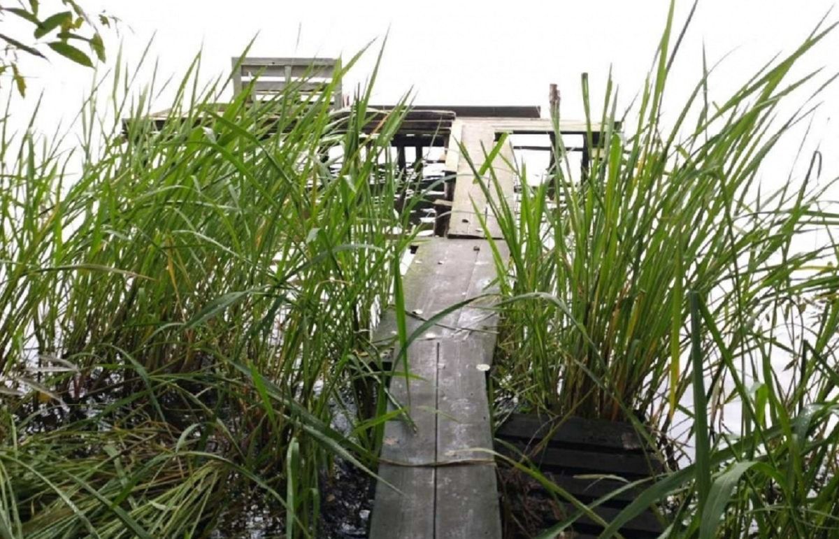 У парку «Загребелля» демонтують самовільно встановлені дерев’яні пірси