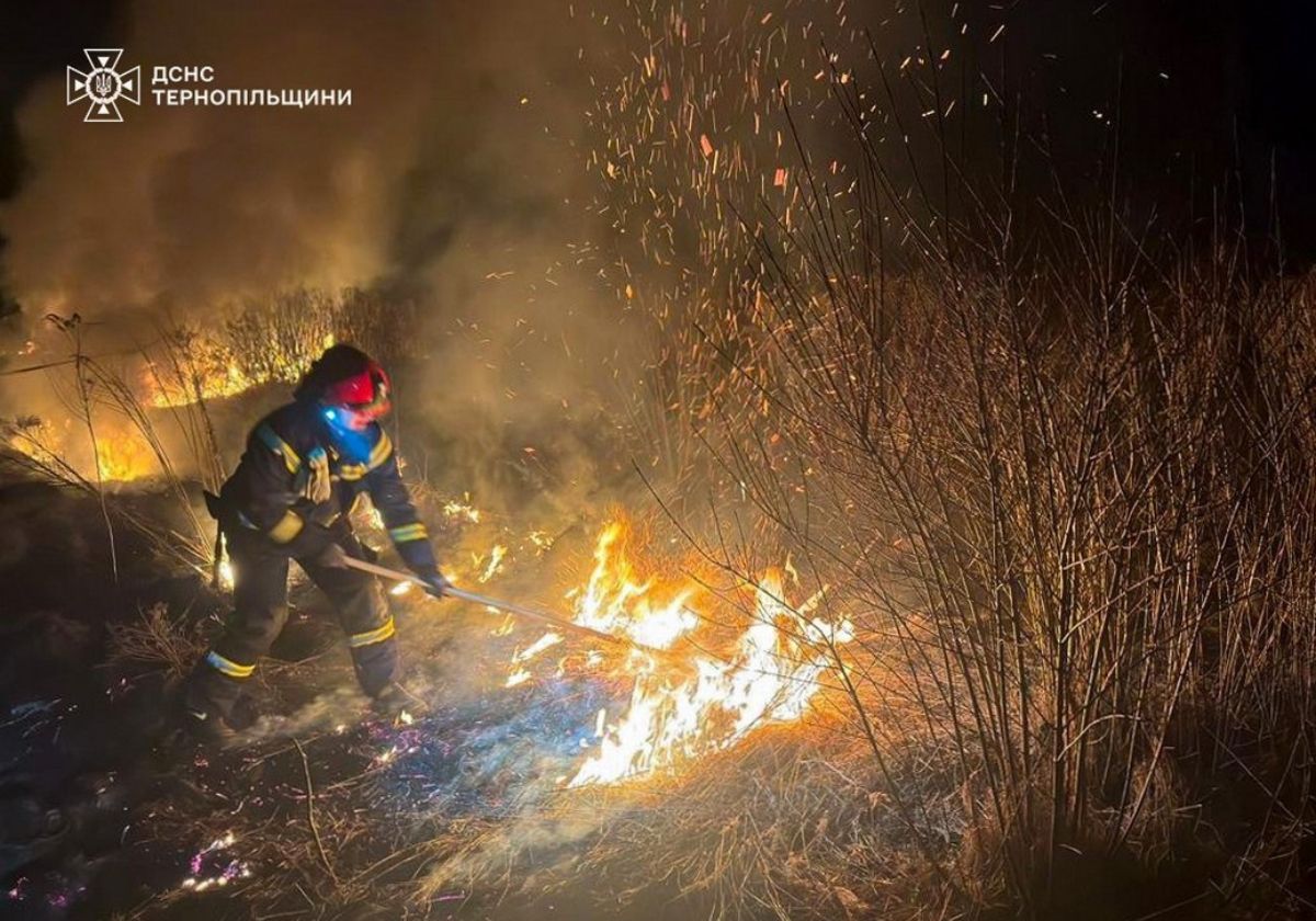 У Теребовлі вогонь охопив близько 2,5 гектара сухої трави