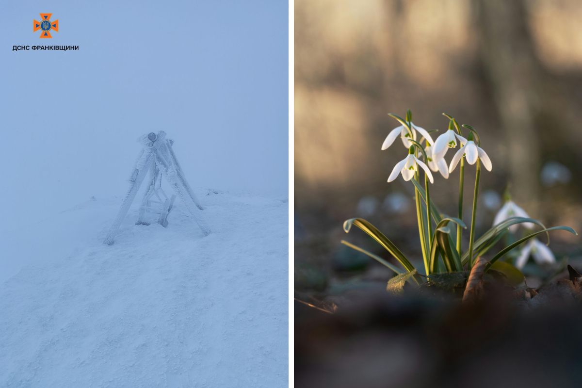 Карпати засипало снігом: чи читати похолодання на Тернопільщині