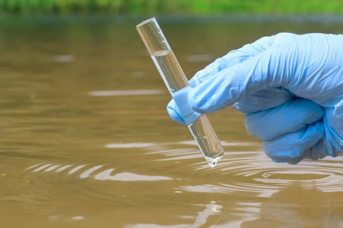Заборонили купатися у Касперівцях і Заліщиках через якість води