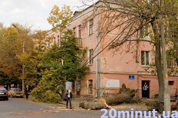 У Центрі дерево обірвало дроти та огорожу, фото №1 на сайті 20minut.ua