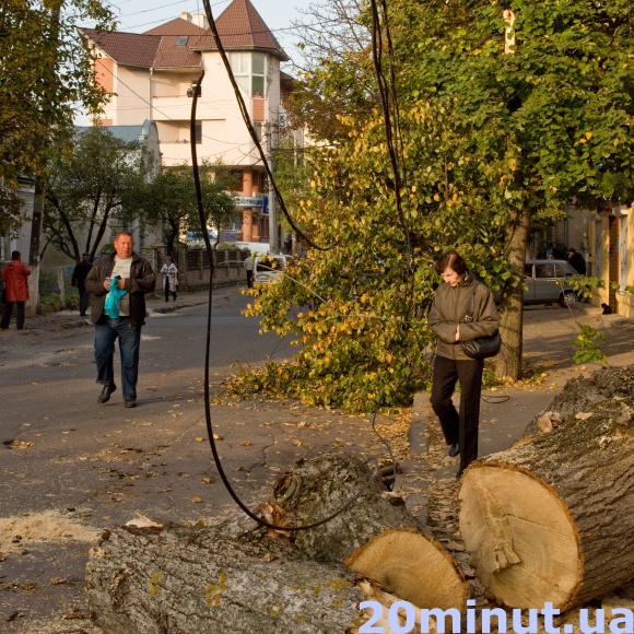 У Центрі дерево обірвало дроти та огорожу, фото №2 на сайті 20minut.ua